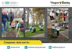 Зв’язок поколінь та збереження пам’яті: Пенсійний фонд Сумщини ініціював створення «Алей життя» на честь ліквідаторів